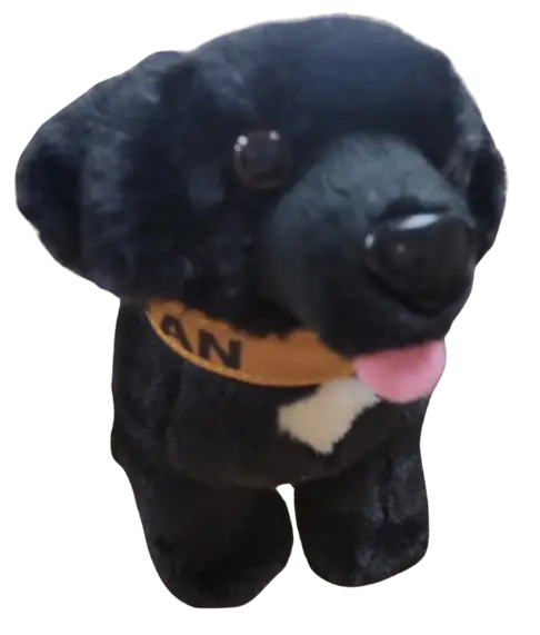SEAMAN! Lewis and Clark's Famous Newfoundland Dog - Large - Image 2